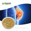 Natural Soybean Extract Soy Isoflavone Powder